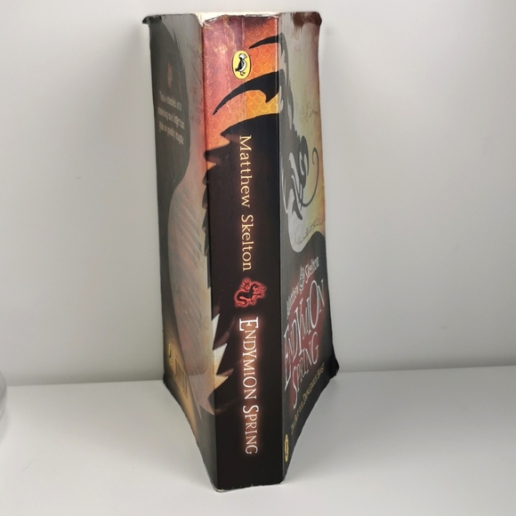 BOOK | Endymion Spring by Matthew Skelton - Picture 3 of 4